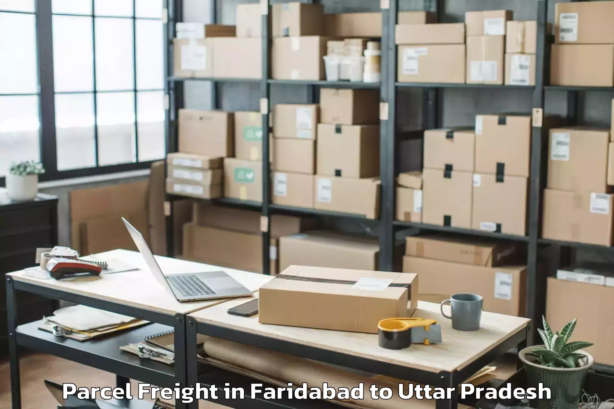 Book Faridabad to Ghanghata Parcel Freight Online